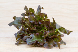 สรรพคุณเรดโอ๊ค